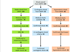 flowchart of study population overview of patient selection