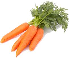 can my dog eat carrots dog friendly food