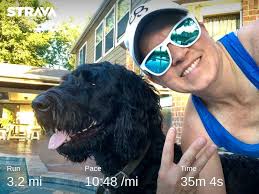 F3 team takes 1st, 2nd, and 3rd place