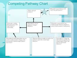 Functional Behavior Intervention Planning Laura A Riffel