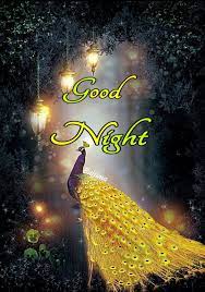 Sachin Antony Good Night Image Good Night Dear Friend Good Night Massage