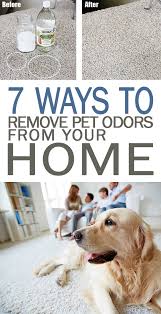 How do you think about the answers? Remove Pet Odors Cleaning 101daysoforganization Org