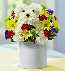 Maybe you would like to learn more about one of these? Unleash Smiles With A Dog Arrangement In Brooklyn Ny Flowers By Emil