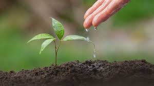 Lino Solís de Ovando Gutiérrez en LinkedIn: Corfo busca nuevas soluciones  tecnológicas para mitigar escasez hídrica en…