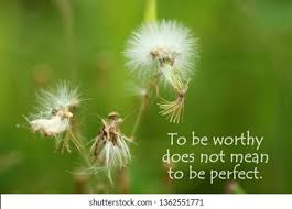 Silhouette photography of dandelion flower, photography, dandelion, moon, macro. Macro Flower Photography Quotes Royalty Free Dandelion Background Quotes Stock Images Photos Dogtrainingobedienceschool Com