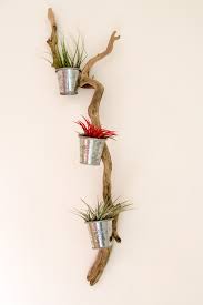 Bois Flotte Porte Plantes Tillandsia Seaux En Alu Vendu Sur Etsy Decoration Bois Deco Bois Flotte Decoration Bois Flotte