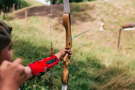 I was just watching the video out of curiosity. 10 Best Recurve Bows Of 2021 For Target Shooting And Hunting Reviews