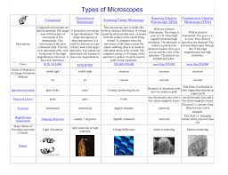 Types Of Microscopes Chart