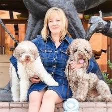 Browse thru lagotto romagnolo puppies for sale in usa area listings on puppyfinder.com to find your perfect puppy. Lagotto Romagnolo Texas Cheap Buy Online