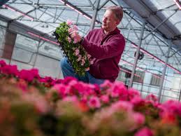 Maybe you would like to learn more about one of these? Led S Talk About The Benefits With Our Customers Booth On Thursd