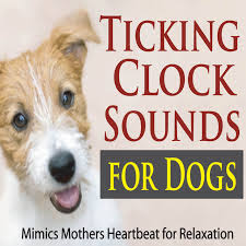 Reminds me of a heartbeat. Ticking Clock Sounds For Dogs Mimics Mothers Heartbeat For Relaxation Album By The Suntrees Sky Spotify