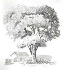 Black And White Pencil Drawings Of Trees Tree Drawings In Pencil Tree Drawings Pencil Landscape Drawings Tree Drawing