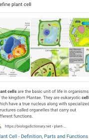 Maybe you would like to learn more about one of these? Definition Of Plant Cell Brainly In