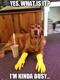 33 Cleaning Memes Jokes The Ultimate 2020 Meme Collection According to urban dictionary, the term dank is often used to describe a meme in which the comedy is excessively overdone check out more dank memes. 33 cleaning memes jokes the