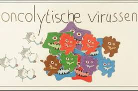 Uit welke 2 onderdelen zijn alle virussen opgebouwd? Aanknopingspunten Voor Reovirus Als Kankerbehandeling Lumc