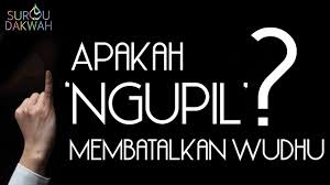 Dari penjelasan singkat ini tampak jelas bahwa memang ada pandangan yang menyatakan bahwa menyentuh istri tidak membatalkan wudhu. Apakah Ngupil Membatalkan Wudhu Ustadz Dzulqarnain M Sunusi Youtube