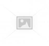 170-09-13210 ROLLER BEARING