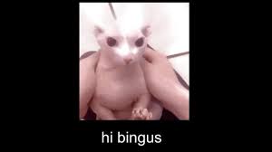 Koopa beach from super mario kart follow a long time ago in a bingus far far away. Steam Workshop Hi Bingus