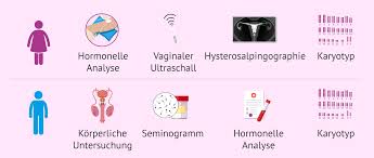 Warte bitte nicht bis zum eisprung mit dem sex. Tests Zur Untersuchung Der Fruchtbarkeit