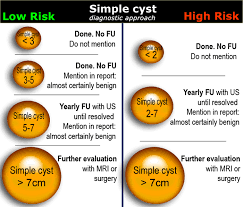 I am concerned because i have been having vaginal bleeding and pain and it is larger than any other ovarian cyst i have ever had before. The Radiology Assistant Roadmap To Evaluate Ovarian Cysts