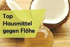 Hausmittel Gegen Flohe Naturliche Mittel Gegen Die Ungeziefer Hausmittel Gegen Flohe Hausmittel Ungeziefer