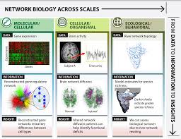 Image result for Science Math Applications Mathematical Biology Events