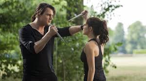 академия вампиров смотреть онлайн бесплатно полный фильм на русском Smotret Onlajn Film Akademiya Vampirov