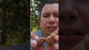 quien a comido de esta fruta? #elsalvador #turismo #frutas