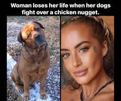This woman was tossing chicken nuggets at her mastiff mix and her  Pomeranian. The Pomeranian was a severe resource guarder and he became  aggressive towards the other dog. He lunged and bit
