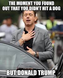 Hit By Car Memes Gifs Imgflip