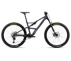 Image result for Orbea umbracula