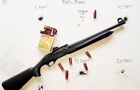 Well, this article is going to look at the advantages and disadvantages of each one and try to help you come to an answer of which one is best for home defense. Birdshot For Home Defense Too Much Too Little Or Just Right Gun Digest