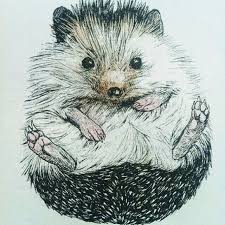 Love Hedgehog Sketch Hedgehog Illustration Hedgehog Art Hedgehog Drawing
