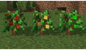 What level do diamonds spawn? Apple Trees Mod Para Minecraft 1 16 5 1 15 2 1 14 4 Y 1 12 2