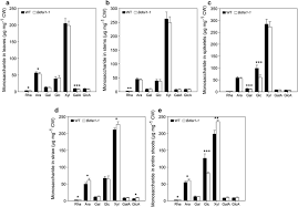 We did not find results for: The Impact Of Silicon On Cell Wall Composition And Enzymatic Saccharification Of Brachypodium Distachyon Biotechnology For Biofuels Full Text