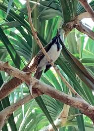 Baltimore's Inner Harbor offers something for everyone