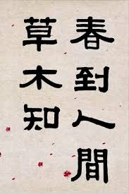 藝術館上的釘圖