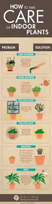 Infographic On How To Take Care Of Indoor Plants Plants Large Indoor Plants House Plants Indoor
