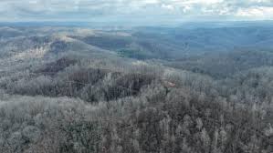 Sunflower Ln, Beckley, WV 25801