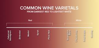 Getting Into Wine Red Vs White And Other Basics Winestyr