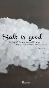 Matthew 5:13 ~ Daily Bible Verse For December 30 - Daily Devotional
