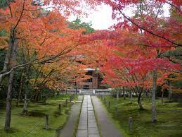維基百科- Wikipedia