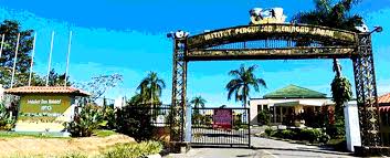 Founded in 2016 by a group of directors led by managing director patrick wong, we have. Institut Pendidikan Guru Kampus Keningau Mycompass