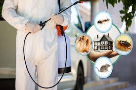 Clean qatar pest control services and bed bugs management to the complete residential and commercial premises with the best quality equipment. Professional Pest Control Services In Qatar Metro Group