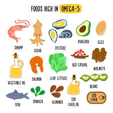 Foods High in OMEGA 3. Vector illustration with healthy foods rich in  vitamin OMEGA 3. Organic Food Collection 5391032 Vector Art at Vecteezy