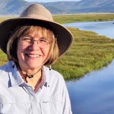 Lynne Hartke, Author