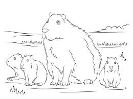 Discover all our printable coloring pages, to print or download for free ! Coloring Pages Coloring Pages Capybara Printable For Kids Adults Free