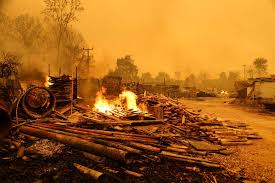 In the fire, in which temporary forest worker görkem hasdemir (32) martyred, 110 hectares of land, the size of 150 it was stated that the uavs aim to detect forest fires early, as in the marmaris fire. Wiksmpko Jb5rm