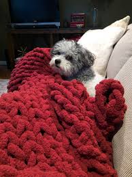 See more ideas about arm knitting, knitting, finger knitting. Pots And Pins Creativity Quilts Diy Projects Grandbabies Parties