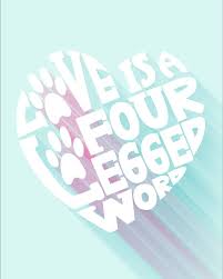 Still if some people think that zero/nothing cannot be singular either, so perhaps english needs a third verb form for this kind of situation. Everyone Thinks They Have The Best Dog And None Of Them Are Wrong Wet Noses Sloppy Kisses Wagging Tails Doglover Typography